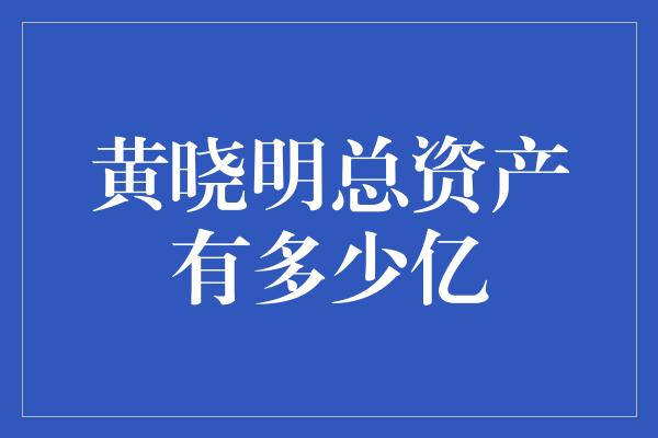 黄晓明总资产有多少亿