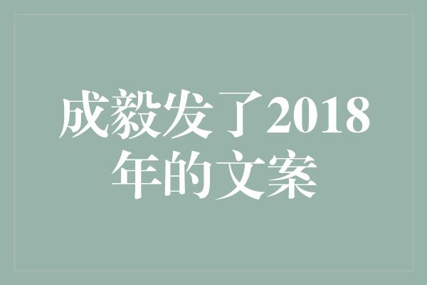 成毅发了2018年的文案