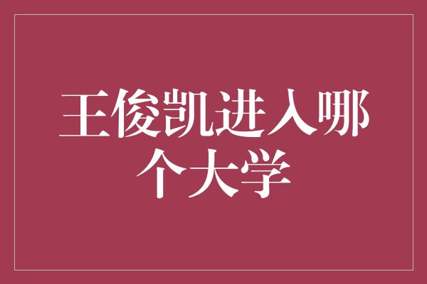 王俊凯进入哪个大学