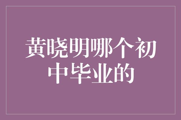 黄晓明哪个初中毕业的