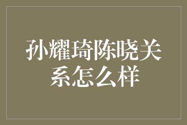 孙耀琦陈晓关系怎么样