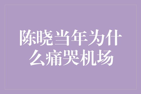 陈晓当年为什么痛哭机场