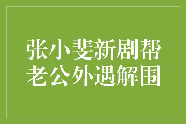 张小斐新剧帮老公外遇解围