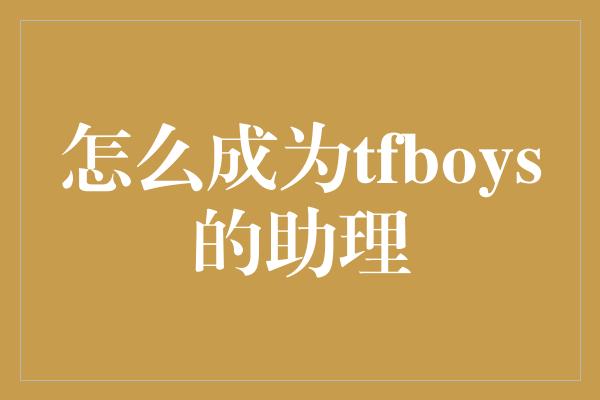 怎么成为tfboys的助理