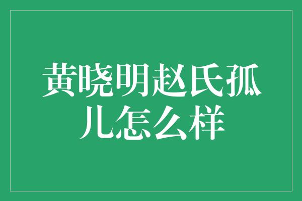 黄晓明赵氏孤儿怎么样