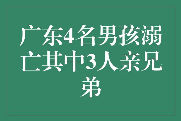 广东4名男孩溺亡其中3人亲兄弟