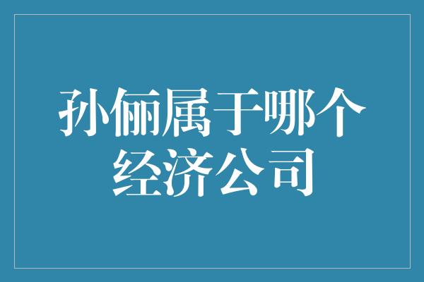 孙俪属于哪个经济公司