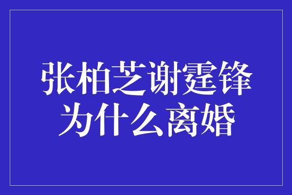 张柏芝谢霆锋为什么离婚