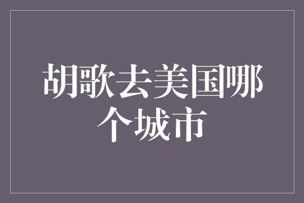 胡歌去美国哪个城市