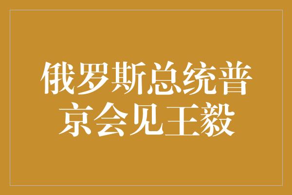 俄罗斯总统普京会见王毅