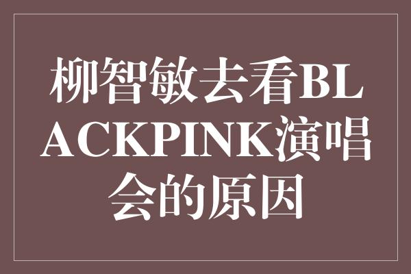 柳智敏去看BLACKPINK演唱会的原因