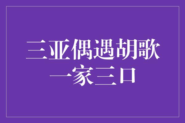 三亚偶遇胡歌一家三口