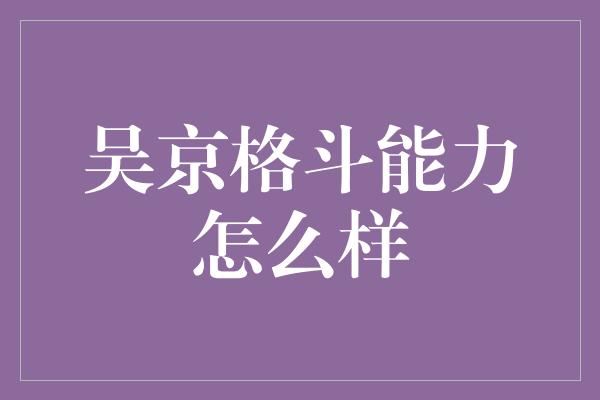 吴京格斗能力怎么样