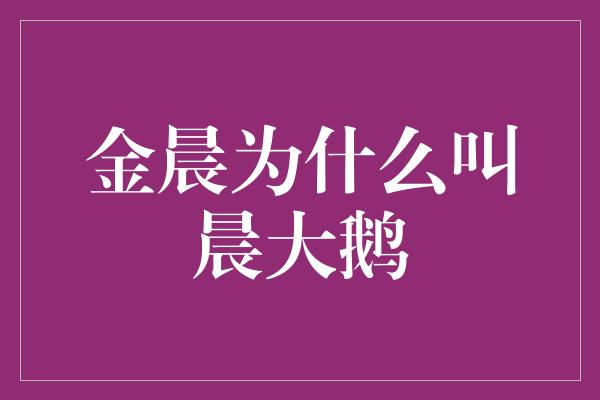 金晨为什么叫晨大鹅