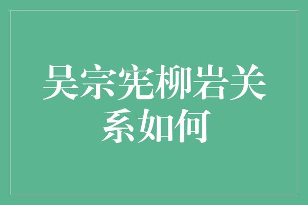 吴宗宪柳岩关系如何