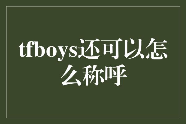 tfboys还可以怎么称呼