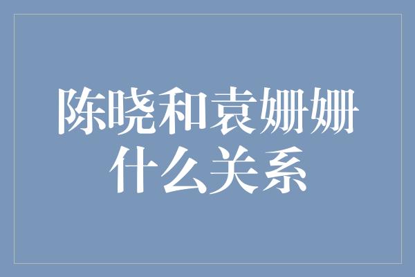 陈晓和袁姗姗什么关系