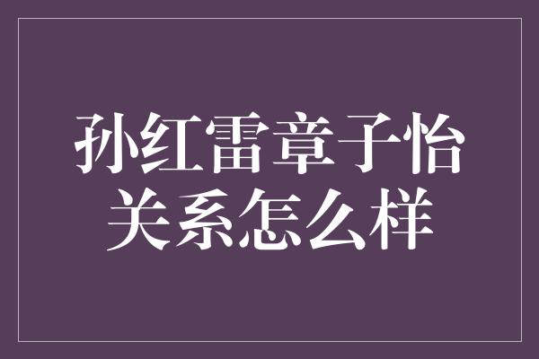 孙红雷章子怡关系怎么样