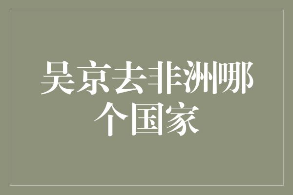 吴京去非洲哪个国家