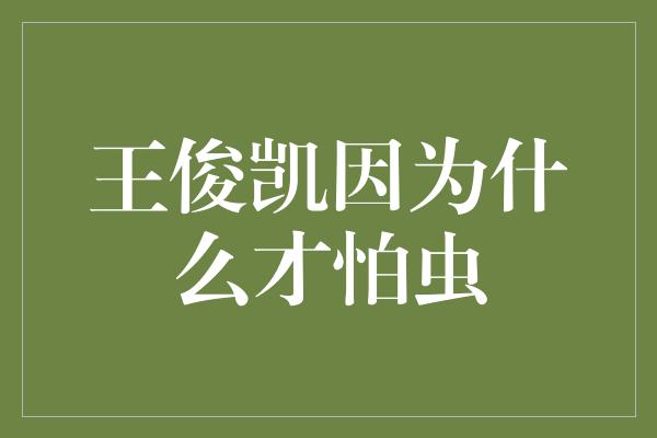 王俊凯因为什么才怕虫