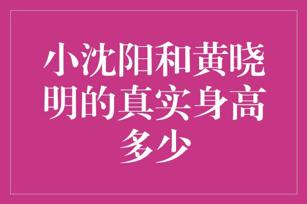 小沈阳和黄晓明的真实身高多少