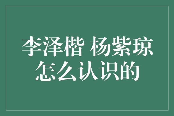 李泽楷 杨紫琼怎么认识的