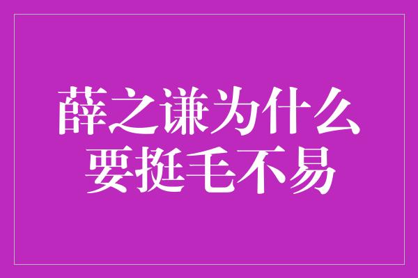 薛之谦为什么要挺毛不易