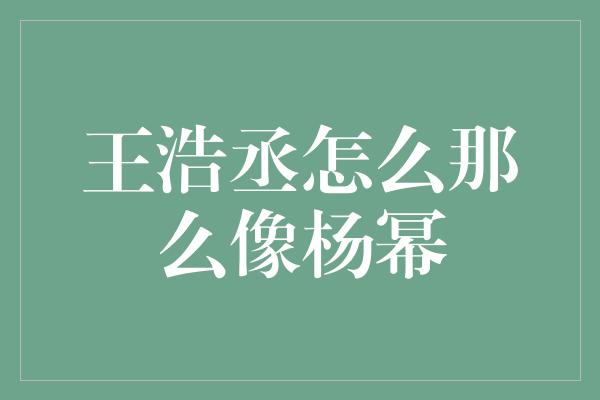 王浩丞怎么那么像杨幂