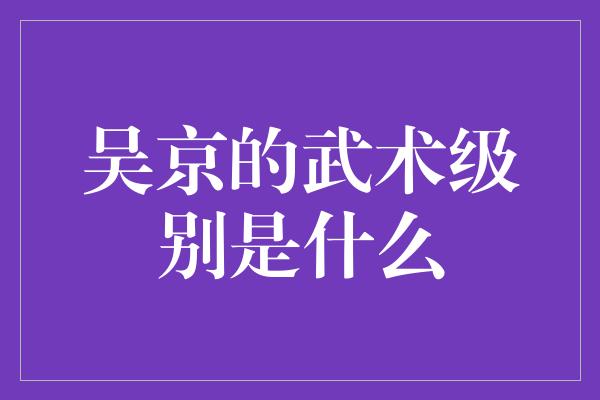 吴京的武术级别是什么