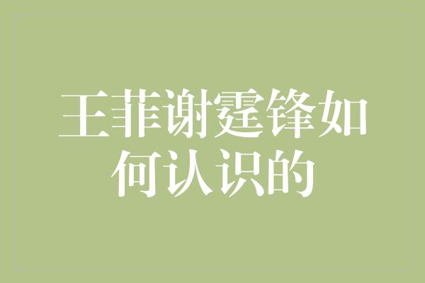 王菲谢霆锋如何认识的