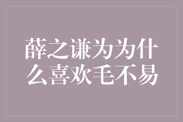 薛之谦为为什么喜欢毛不易