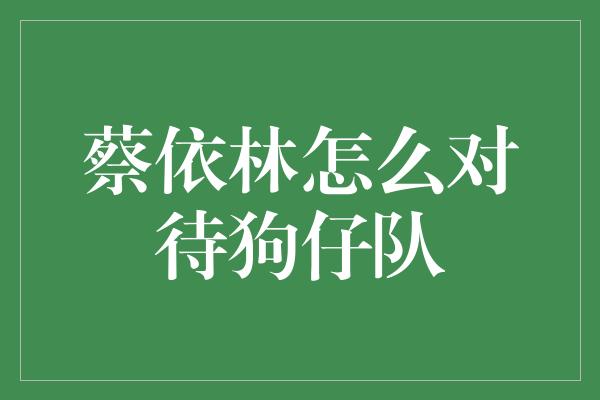 蔡依林怎么对待狗仔队