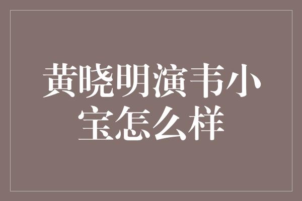 黄晓明演韦小宝怎么样