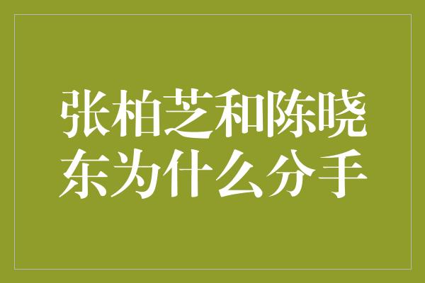 张柏芝和陈晓东为什么分手