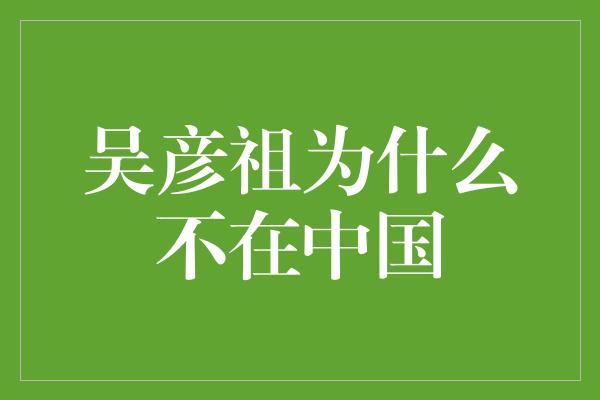 吴彦祖为什么不在中国