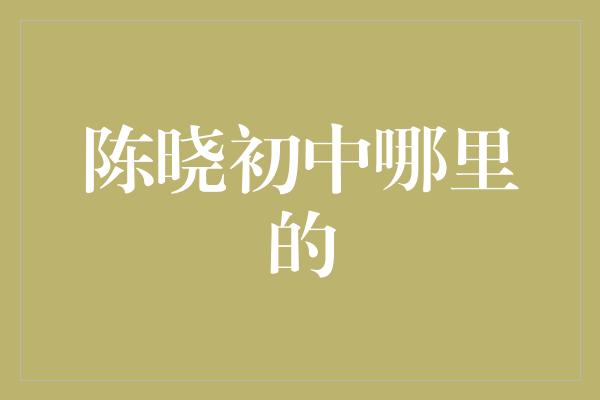 陈晓初中哪里的