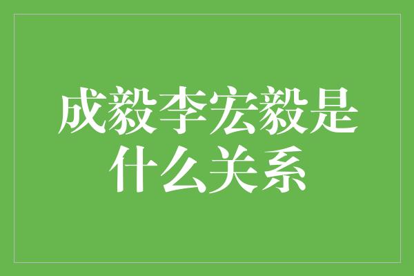 成毅李宏毅是什么关系