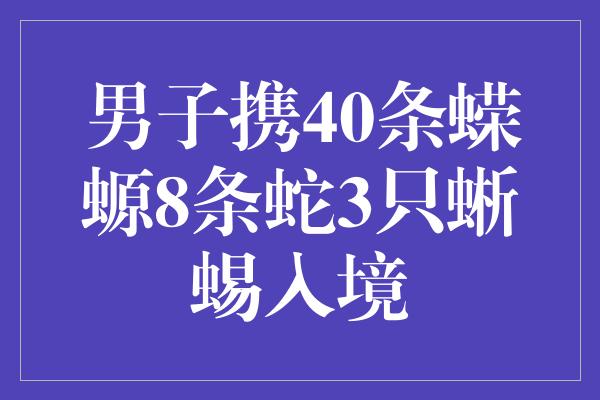 男子携40条蝾螈8条蛇3只蜥蜴入境