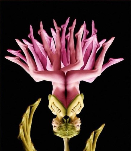 Cecelia Webber 创作的人体花卉艺术作品
