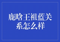 鹿晗王祖蓝关系揭秘：友谊的跨界合作