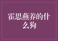 霍思燕养的是什么狗？揭秘她的爱宠品种