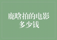 鹿晗拍电影的投资金额是多少？