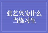 张艺兴：追逐梦想的练习生之路