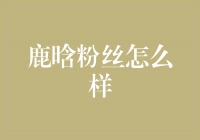 鹿晗粉丝：热情、坚定、无限支持