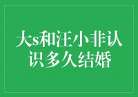 爱情长跑，相伴一生——揭秘大S和汪小非的