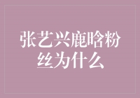 张艺兴鹿晗粉丝为什么如此狂热？