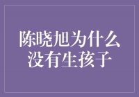 陈晓旭：探索个人价值与事业平衡的典范