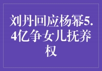 刘丹的坚决回应：母爱无价，我将努力争取女