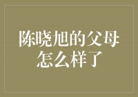 陈晓旭的父母怎么样了？一段感人的回归与希