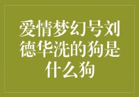 刘德华的爱情梦幻号：揭秘他洗的是什么狗